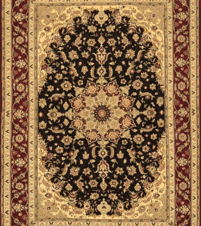 Medallion Brown Traditional Rug, tr945brn - 7' x 10'